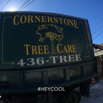 Commercial for my friends at Cornerstone Tree Care